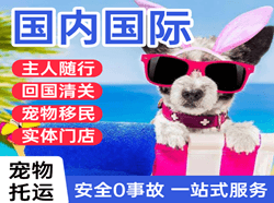 永兴机场货运国际宠物托运 【国